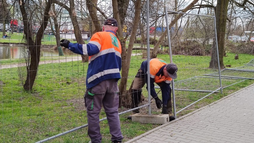 Rozpoczyna się rewitalizacja parku Belzackiego w Piotrkowie....