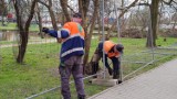 Park Belzacki w Piotrkowie będzie zamknięty. Rozpoczęła się rewitalizacja, trwa wycinka drzew ZDJĘCIA
