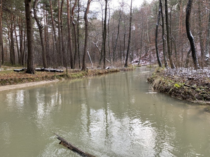 ZGH odpowiada na zarzuty ekologów z Bukowna