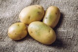 Ziemniaki – popularne warzywo, które łatwo może zaszkodzić. Takich nie jedz, bo się zatrujesz! Co zrobić z zielonymi ziemniakami i oczkami?