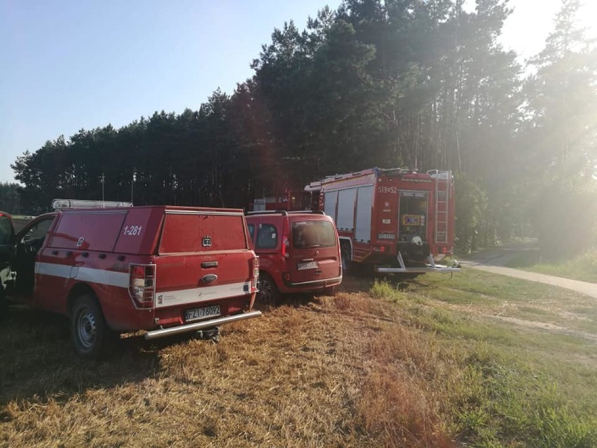 01-08-18 godz.17:42 wyjazd zastępów 519-51 oraz 519-52 do pożaru lasu przy drodze Zbąszyń-Chlastawa.