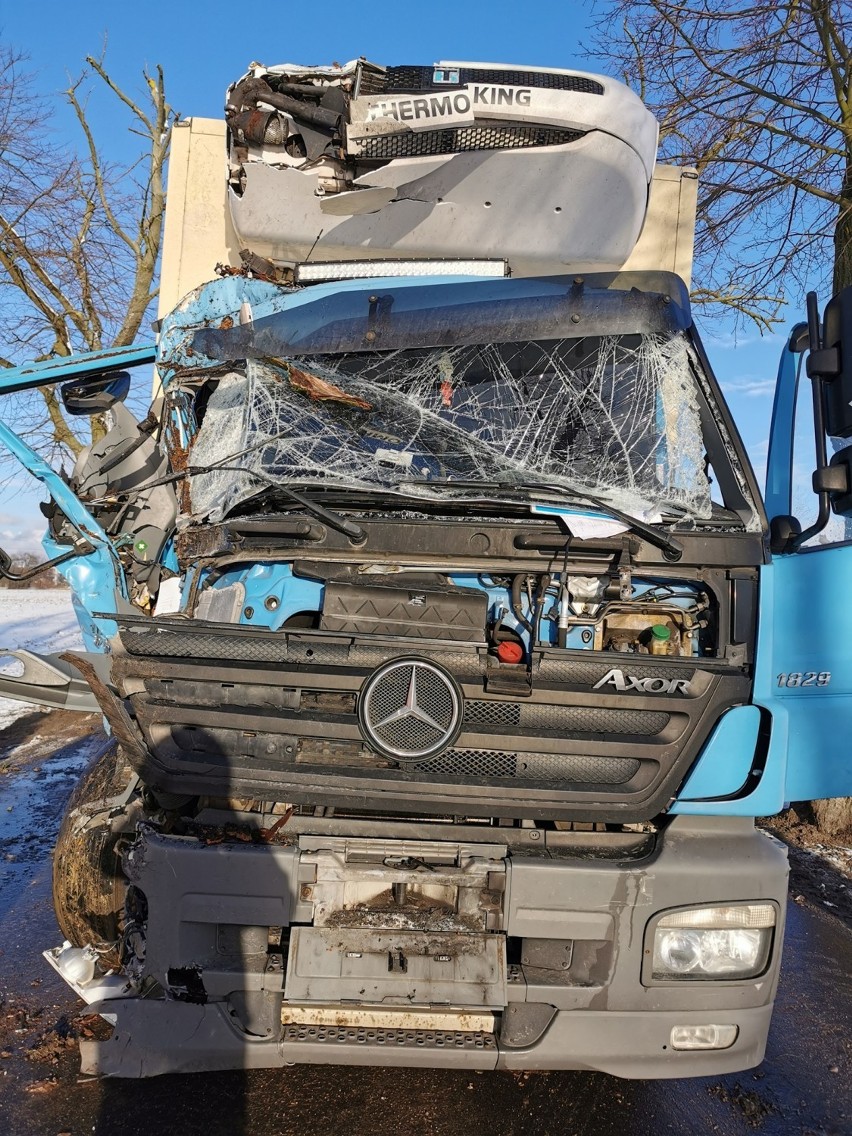 Malbork. Na ulicy Dąbrówki samochód ciężarowy uderzył w drzewo