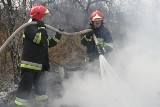 Pożar hali cynkowni w Gorlicach przy ul. Przemysłowej: straty około 4 mln zł