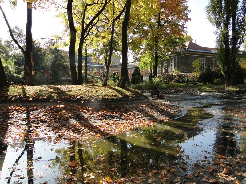 Poznań: Jesień w Starym Zoo [ZDJĘCIA]