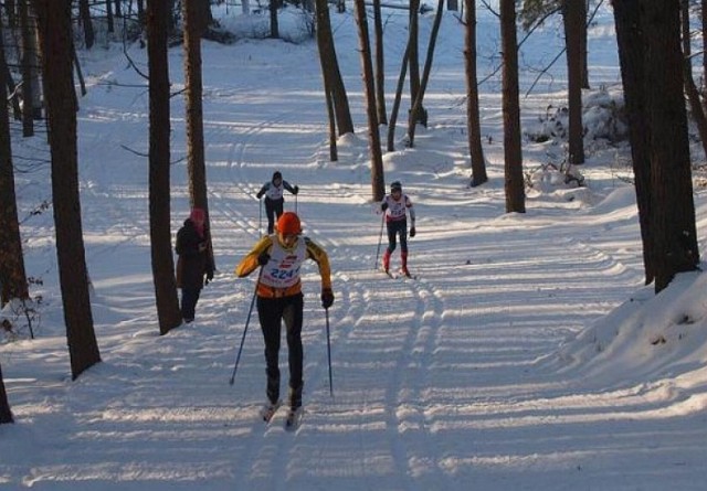 Ruszyła wypożyczalnia nart biegowych w Parku na Zdrowiu | Łódź Nasze Miasto