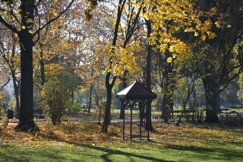 Bydgoska złota jesień w Parku Kochanowskiego [zdjęcia]