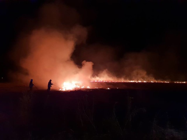 Wypalanie traw jest niezgodne z prawem! Policja przypomina co za to grozi!