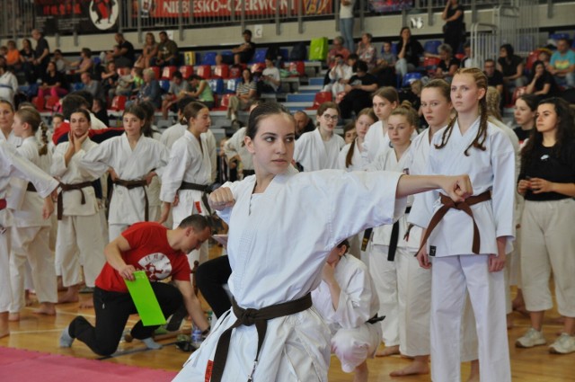 Reprezentanci Klubu Karate NIDAN Zielona Góra bardzo dobrze spisali się w turnieju Silesia Cup.