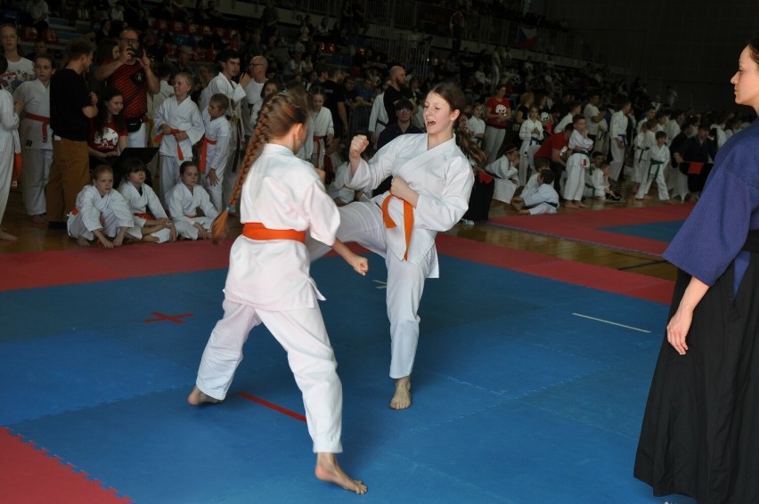 Reprezentanci Klubu Karate NIDAN Zielona Góra bardzo dobrze...