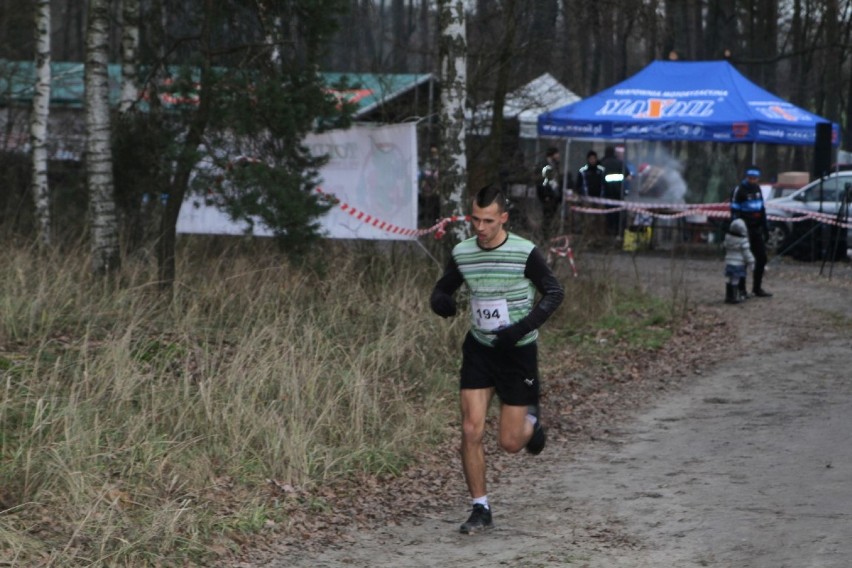 II Cross Wiecha w Nowej Dąbrowie pod Wolsztynem