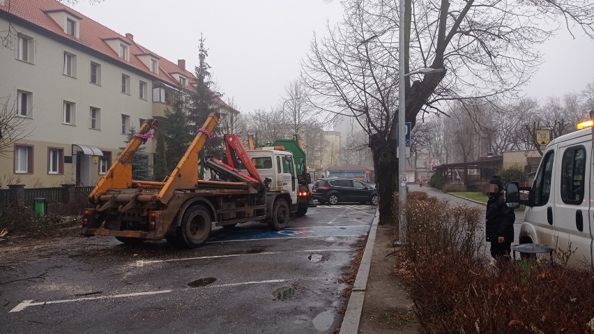 Drzewo spadło na auto w Głogowie