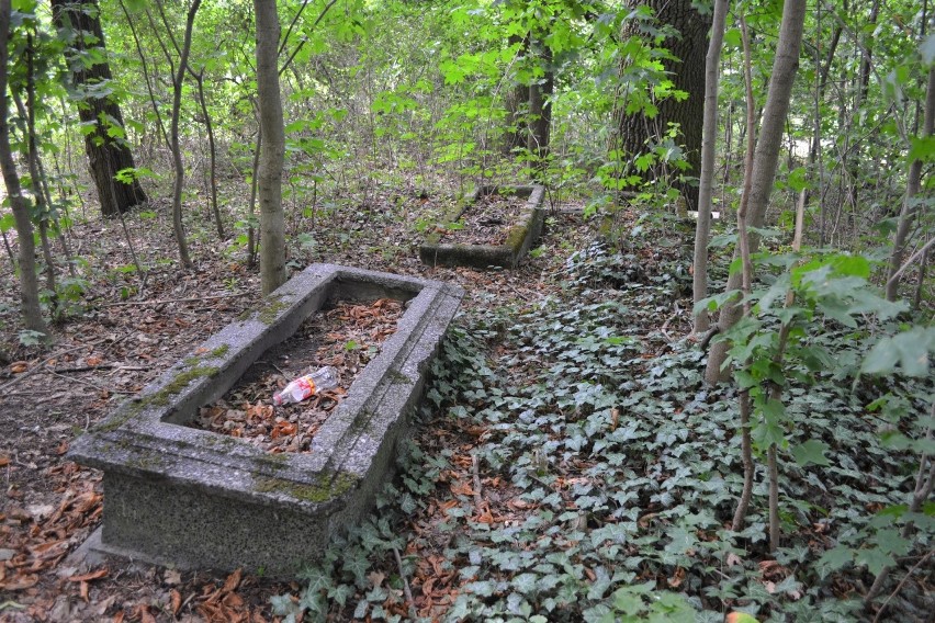 Obok poniszczone groby na cmentarzu ewangelickim