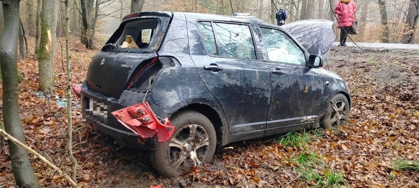 Samochód wypadł z drogi w Sulmierzycach. 20-latka zabrana do szpitala [ZDJĘCIA]