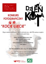 MDK w Radomsku organizuje konkurs fotograficzny "Kocie ujęcie"