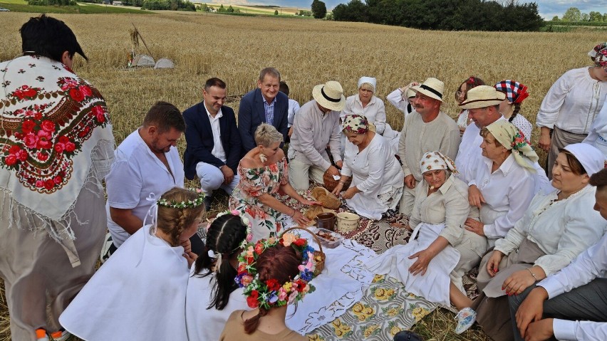 Tak wyglądały kiedyś żniwa i towarzyszące im obrzędy. Żniwowanie nad zalewem Maczuły przyciągnęło tłumy. Zobacz zdjęcia