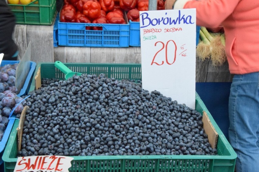 Borówki amerykańskie w cenie 20 złotych za kilogram.