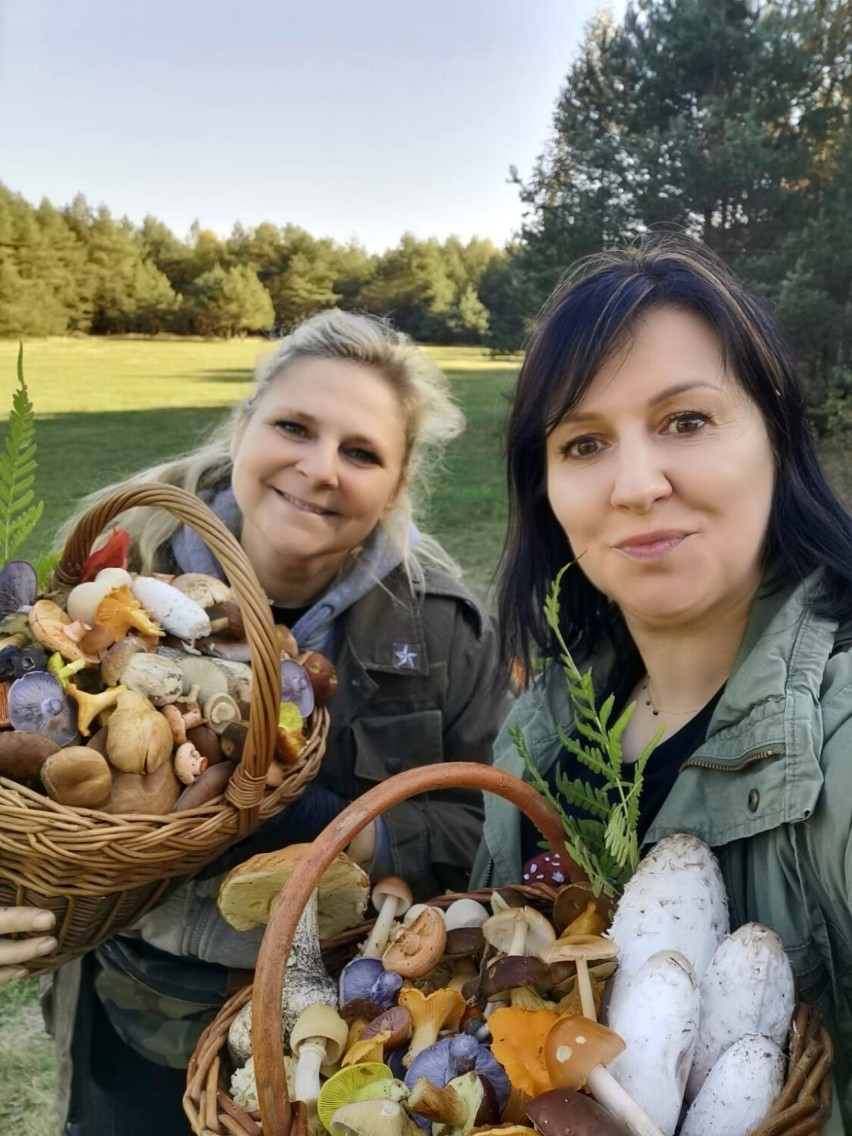 Złota polska jesień w szczecineckim lesie, czyli kolorowe grzybobranie z Beatą Bilską-Zaleską [zdjęcia]