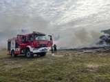 Dziesiątki interwencji strażaków i ochotników w powiecie olkuskim. Rozpoczął się proceder wypalania traw [ZDJĘCIA]