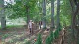Nowe ogrodzenie cmentarza ewangelickiego w Grzybowskim Młynie w gminie Kościerzyna