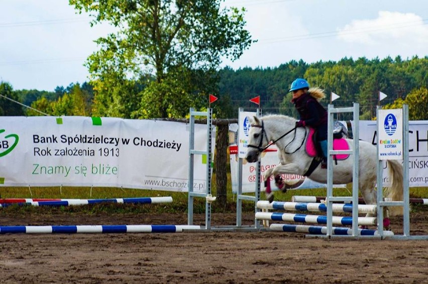 Daria Wika wygrała tegoroczny Jeździecki Puchar Powiatu Chodzieskiego (ZDJĘCIA)