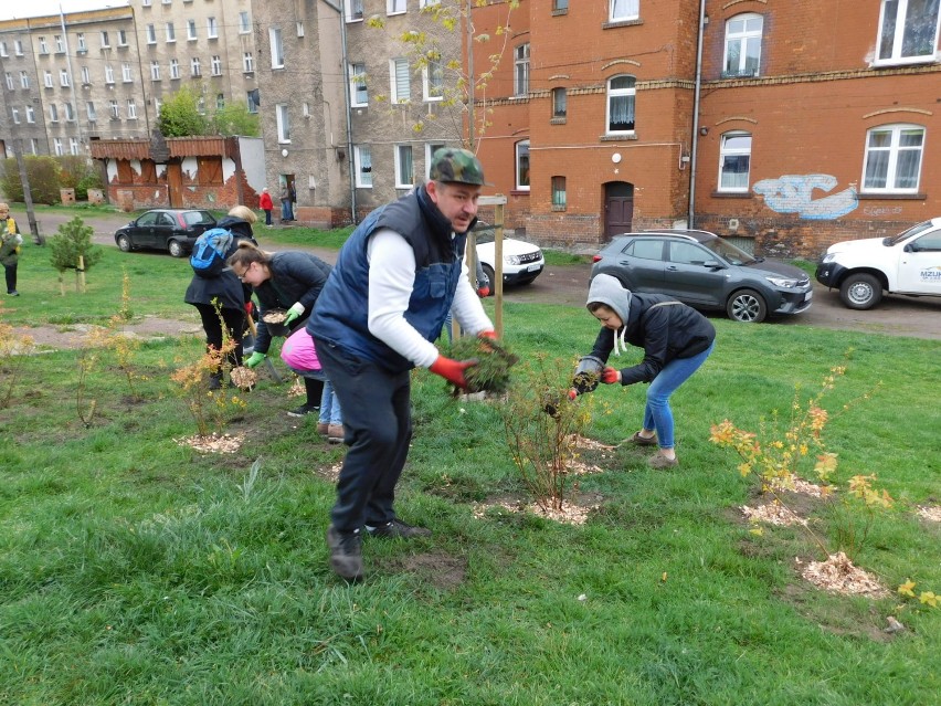 Wałbrzych: Setki osób sprzątały miasto, sadziły drzewka, krzewy i kwiaty ZDJĘCIA
