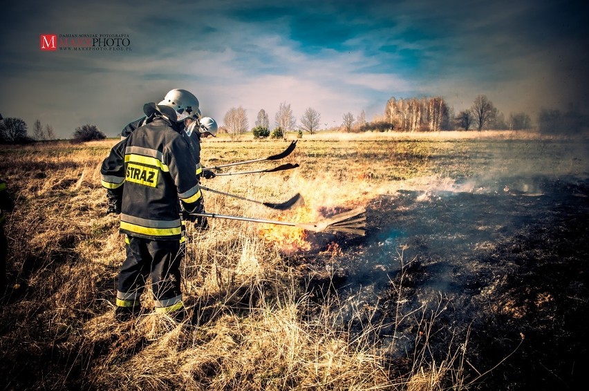 Pożar w Truskolasach. Zobacz zdjęcia z akcji strażaków