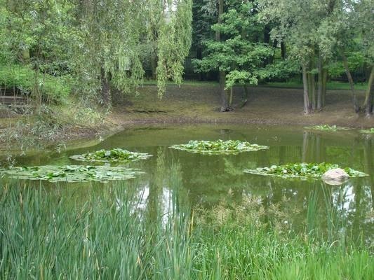 Ogród Botaniczny w Zabrzu latem [ZDJĘCIA]