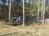 Pożar lasu pomiędzy Kwilczem, a Sierakowem: Na miejscu strażacy z powiatu [NEWS]