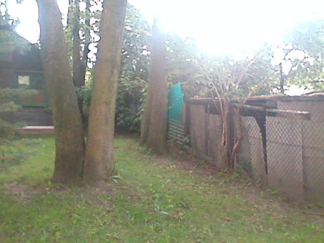Zza tego ogrodzenia dobiegało miauczenie osieroconych kociak&oacute;w.