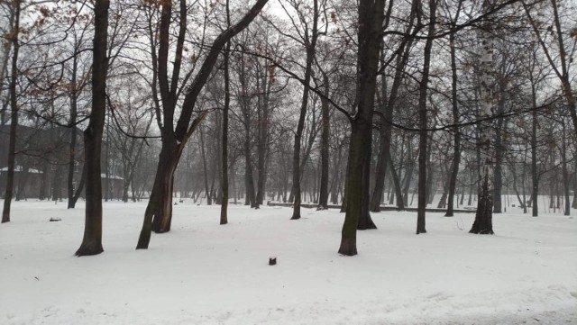 Park przy ulicy Maliny i Andersa zostanie parkiem. Miasto przejmie jego tereny od spółdzielni. 

Zobacz kolejne zdjęcia. Przesuń zdjęcia w prawo - wciśnij strzałkę lub przycisk NASTĘPNE