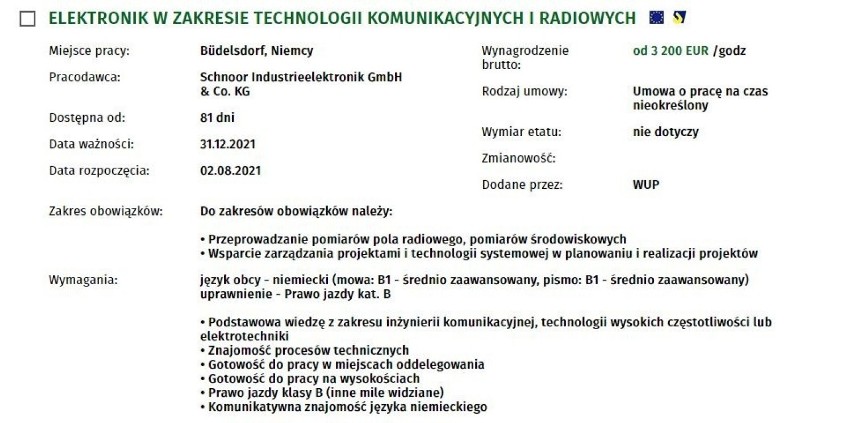 Szukasz naprawdę dobrze płatnej pracy? 7 tysięcy euro wystarczy? A może jeszcze więcej? Oto 15 ofert pracy z najwyższymi zarobkami 