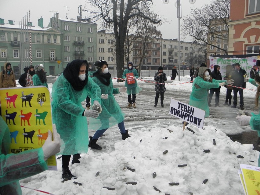 Częstochowa: Happening Plastyka: Zas..miasto. Sprzątaj po swoim psie. ZOBACZ ZDJĘCIA