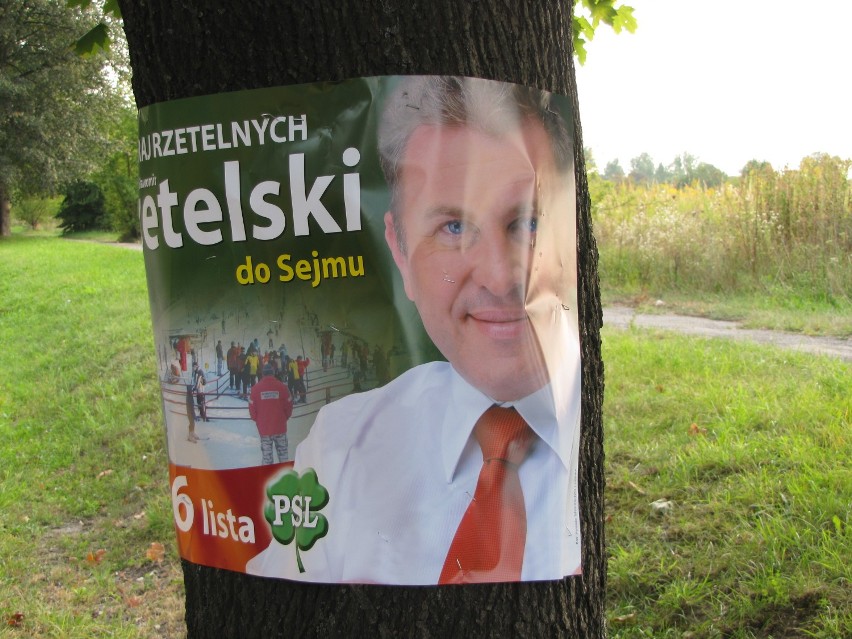 Plakaty na drzewach przy ul. Osmolickiej.