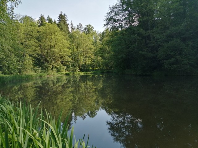 Zobaczcie, jak tam przyjemnie i idźcie na spacer.