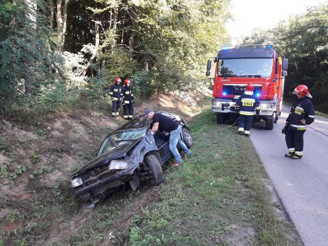 Na drodze powiatowej z Lipiec Reymontowskich do Łyszkowic samochód osobowy zderzył się w Chlebowie z łosiem. Kierowcę odwieziono do szpitala, zwierzę nie przeżyło zderzenia.