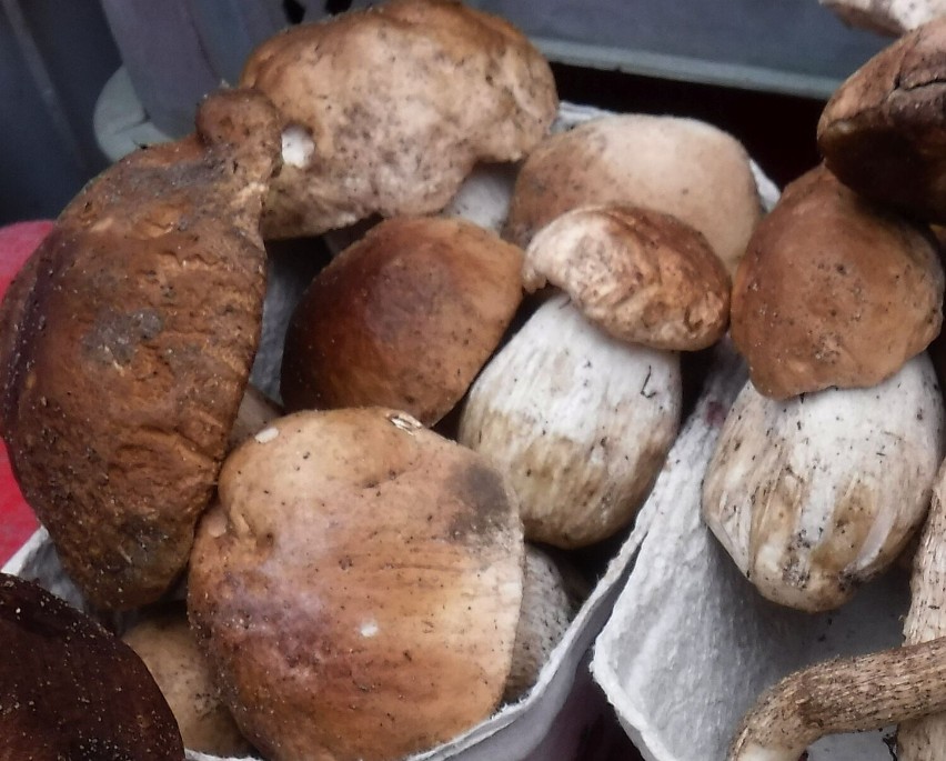 Na radomskim targowisku Korej można było kupić świeże grzyby