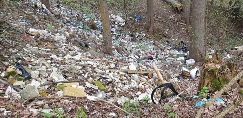 Dwie tony śmieci w lesie w Sowinie. "Czegoś takiego dawno nie widzieliśmy" [ZDJĘCIA]