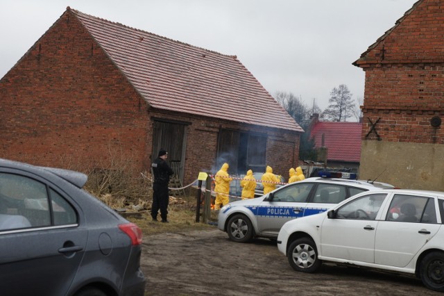 Akcja służb podczas ptasiej grypy w powiecie nowosolskim w 2017 roku. Czy powrócą takie działania?