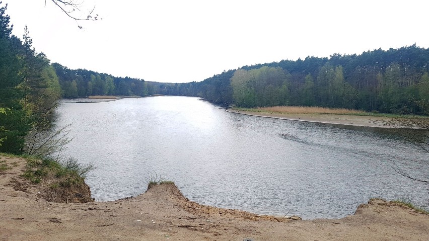 Tak wygląda dzika plaża w Janowie - zdjęcia z kwietnia 2023...