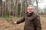 Andrzej Szeremeta z Nadleśnictwa Karczma Borowa opowiada o wycince drzew w leszczyńskich lasach i wielkim sadzeniu