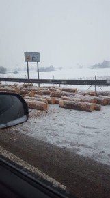 Zablokowana droga S8 między Tomaszowem a Piotrkowem. Na jezdnię wysypały się drewniane pnie
