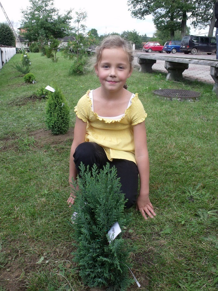 Daria i jej drzewko