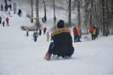 Zielona Góra. Sanki, śnieg i wywrotki. Zobaczcie, jak zielonogórzanie bawią się na Górce Tatrzańskiej!