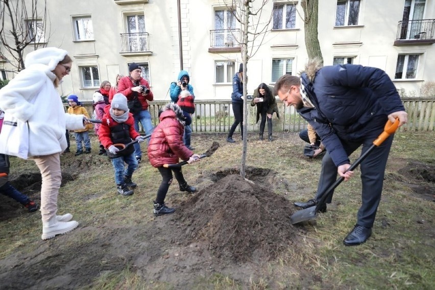 Ile przybyło nowych drzew w Katowicach?