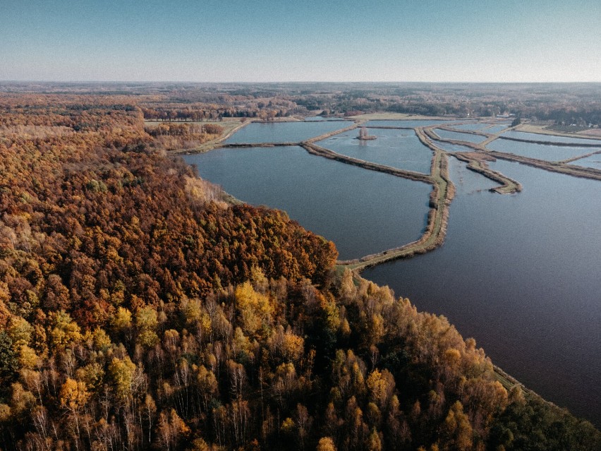 Pieńki Wiewiórki w podwarszawskiej wsi. Uroczy dom w lesie odcięty od świata. Tam dokonasz resetu od codzienności