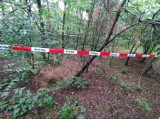 Niewybuchy znalezione w lesie w okolicy Osjakowa 