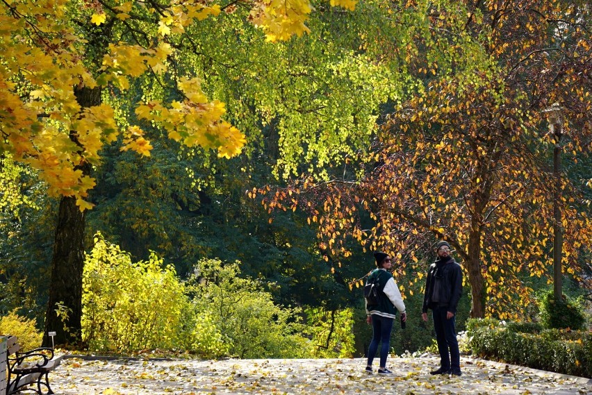 Ogród Botaniczny UMCS w pięknej jesiennej scenerii. Zobacz jak piękna jest jesień w Lublinie [ZDJĘCIA]