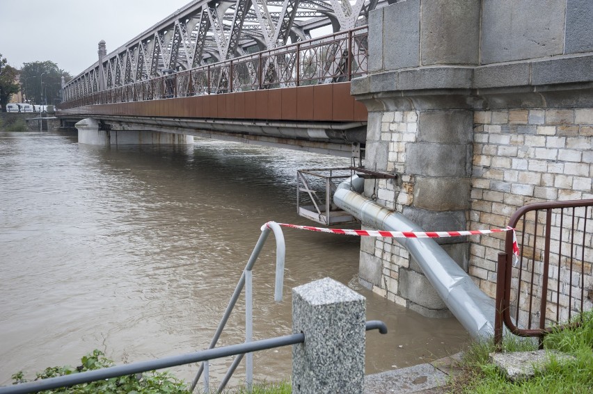 Fala kulminacyjna na Odrze zmierza do Brzegu. Poziom wody może być blisko 7 metrów!