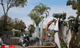 Palmy w Ogrodzie Botanicznym UJ dostaną nową, większą szklarnię
