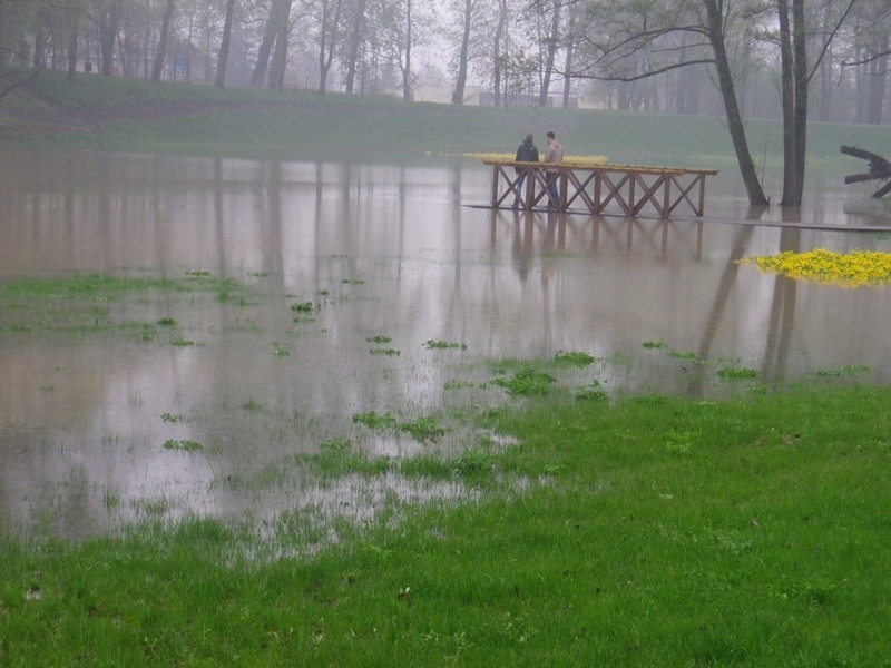 Syców: Park pod wodą